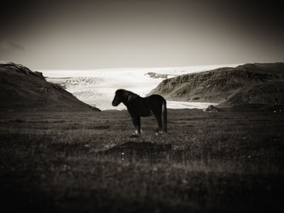 Photography 1